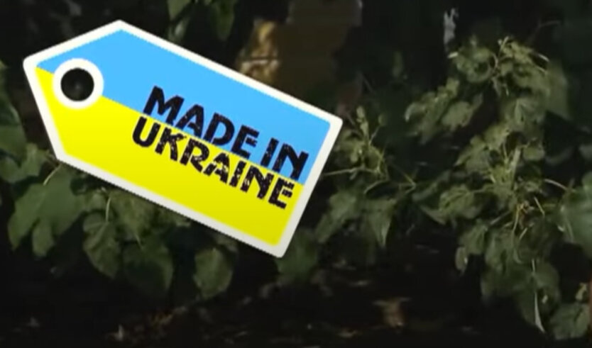 Украинцы массово открывают карты в ПриватБанке благодаря программе “Национальный кэшбек”